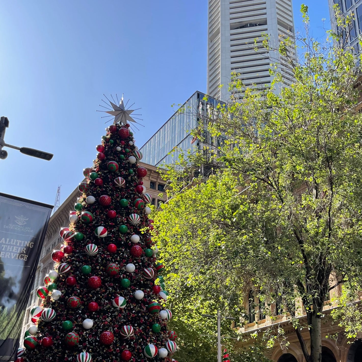 Our Christmas Tree in Sydney - Xmas gifting and jewellery